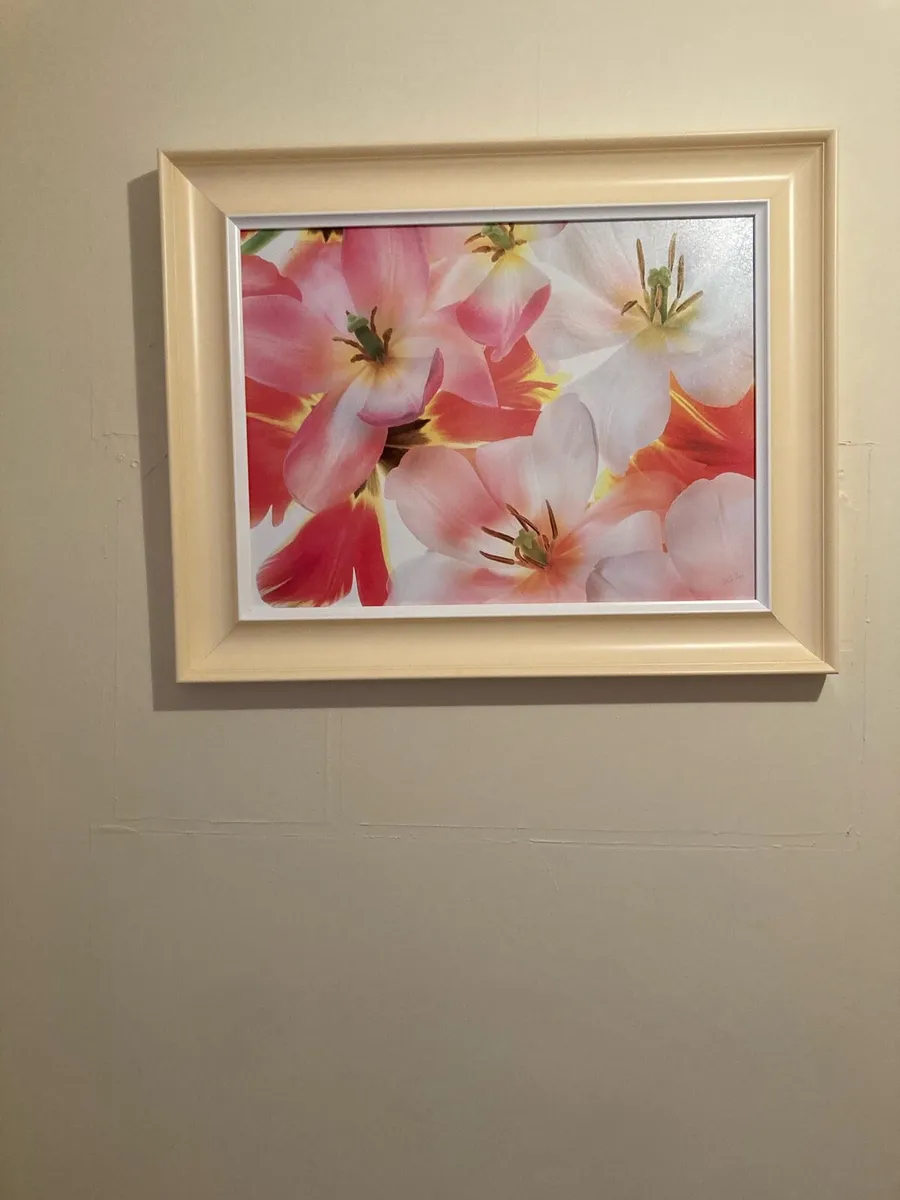 Large framed picture - Image 1