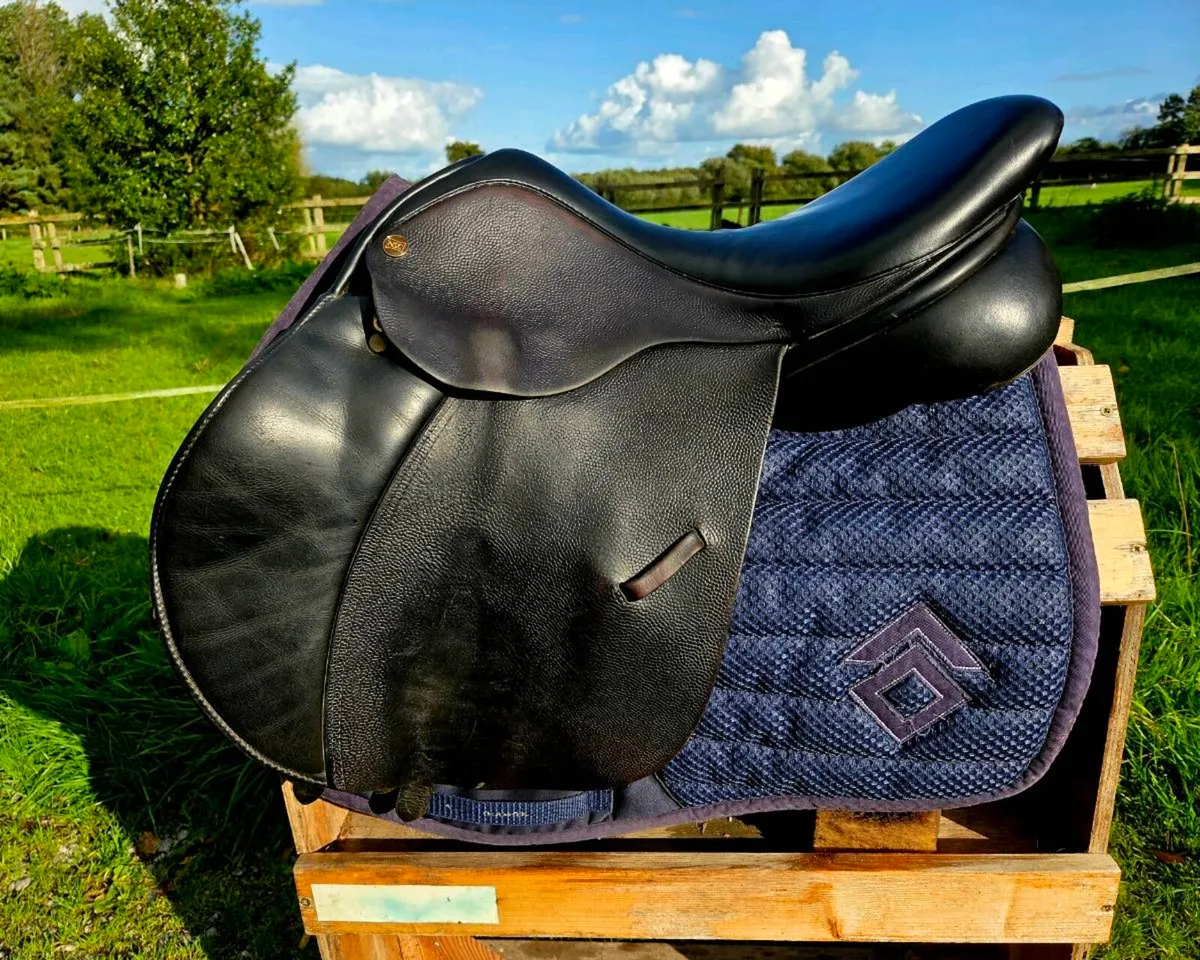 Ideal impala jump saddle - Image 1