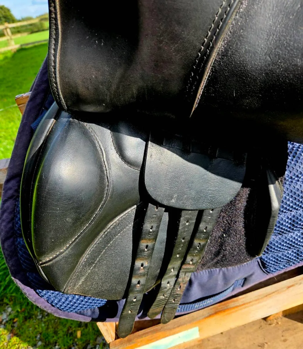 Ideal impala jump saddle - Image 2
