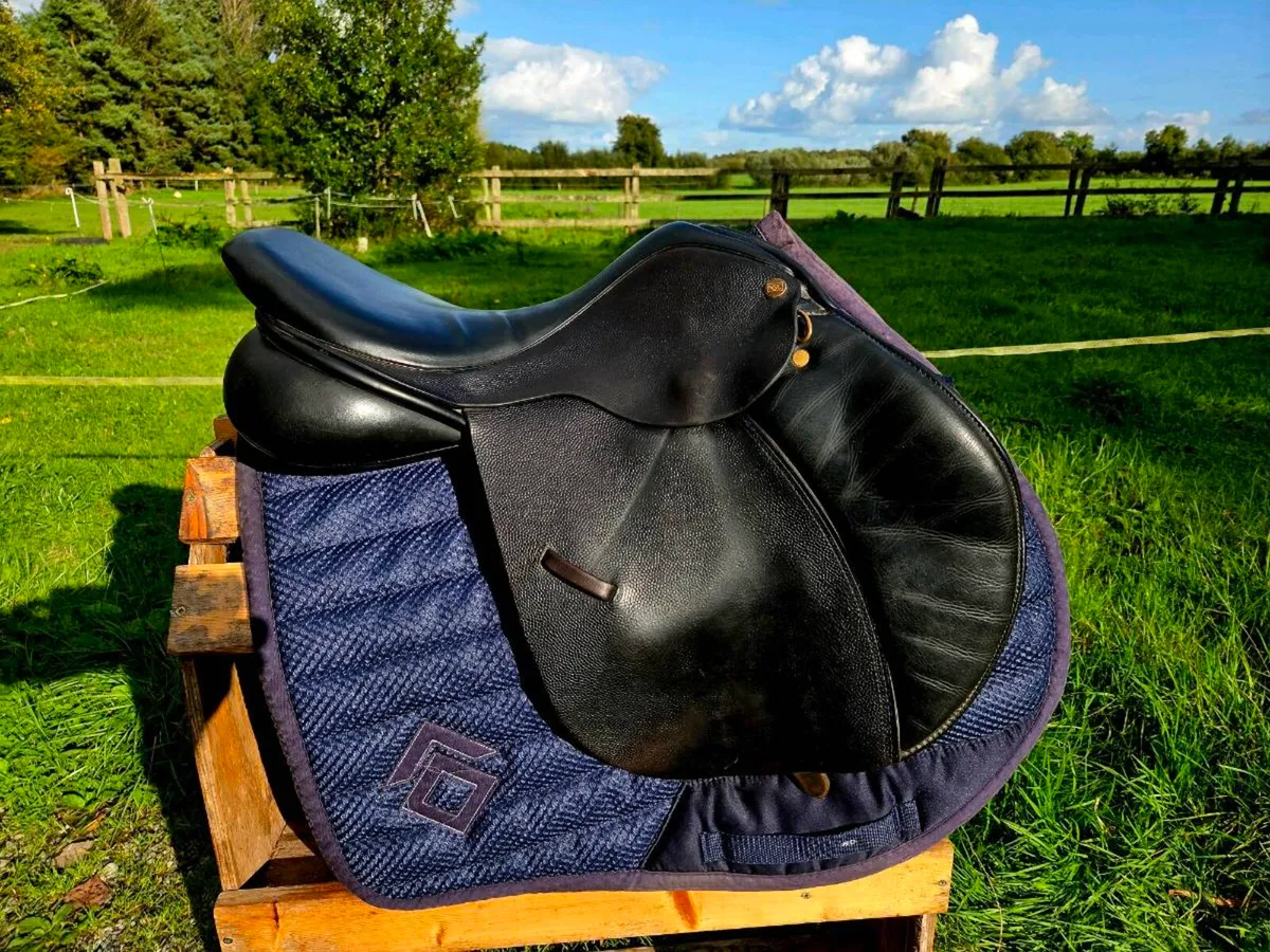 Ideal impala jump saddle - Image 3