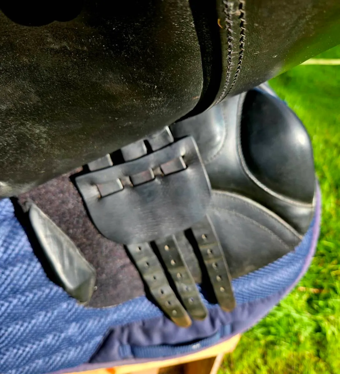 Ideal impala jump saddle - Image 4
