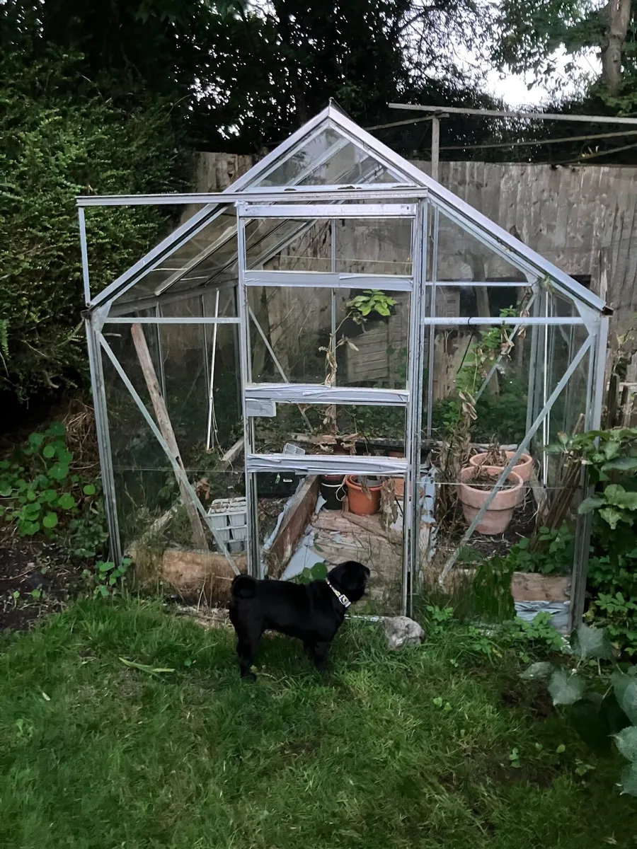 Free Glasshouse - Image 1