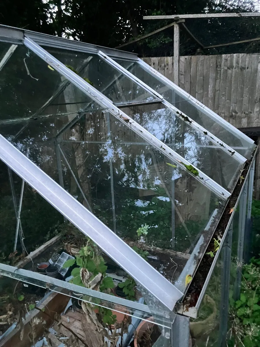 Free Glasshouse - Image 3