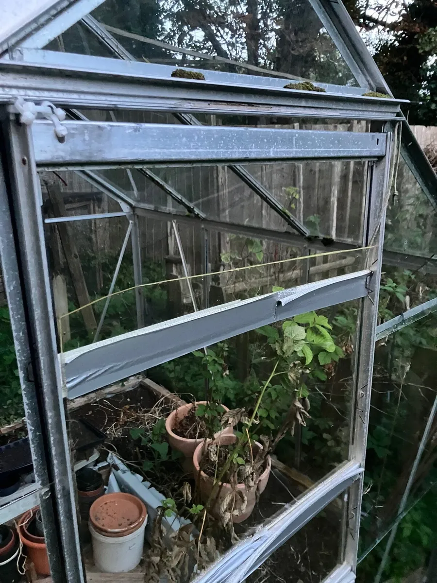 Free Glasshouse - Image 4