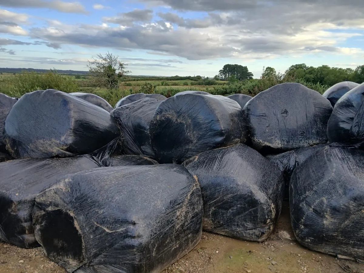 Last year Silege bales - Image 1