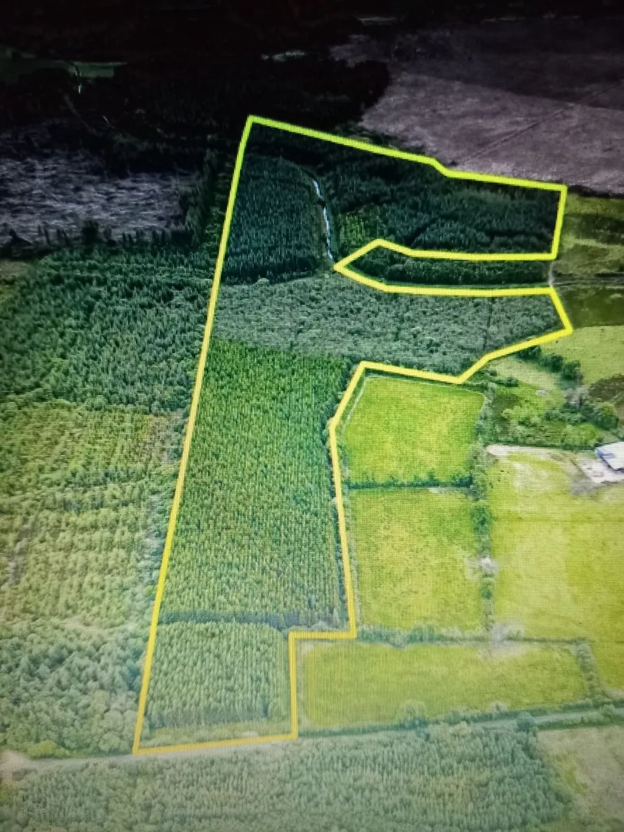 Forestry for sale - Image 1