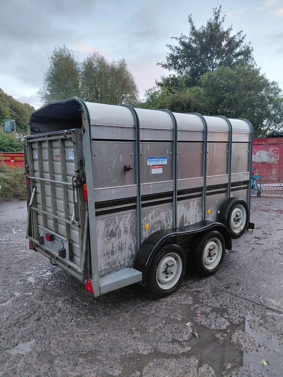 Ifor williams 10ft livestock Trailer - Image 1