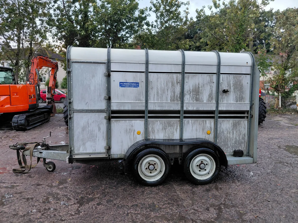 Ifor williams 10ft livestock Trailer - Image 2
