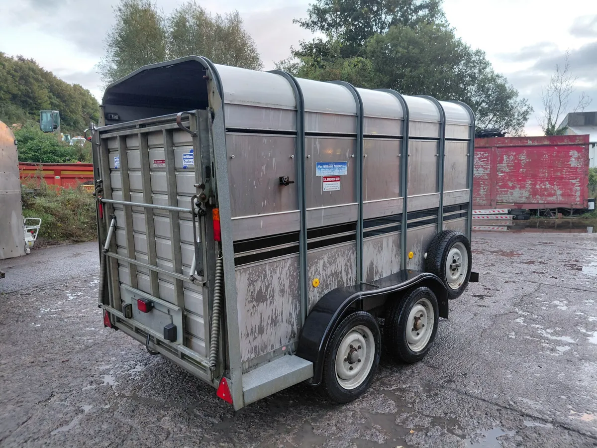 Ifor williams 10ft livestock Trailer - Image 4