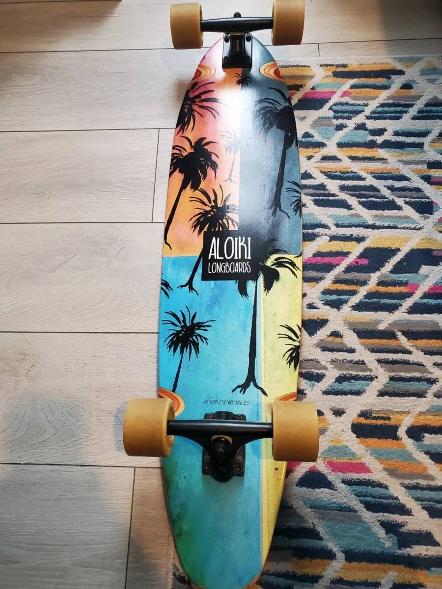 Cruising Skateboard/Longboard