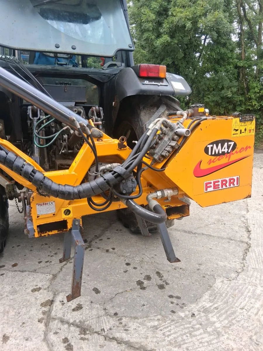 Ferri TM47 hedgecutter - Image 4