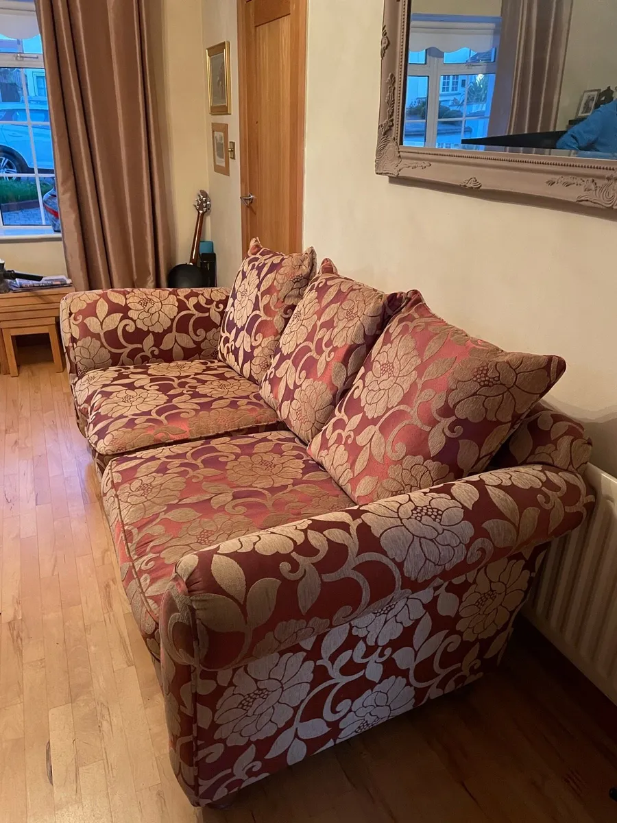 Large Comfortable Sofa - FREE - Image 4