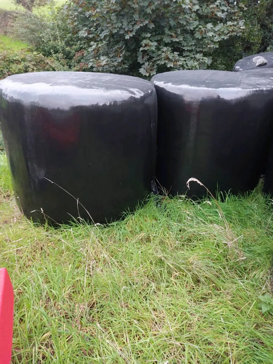 Round Bales silage - Image 1