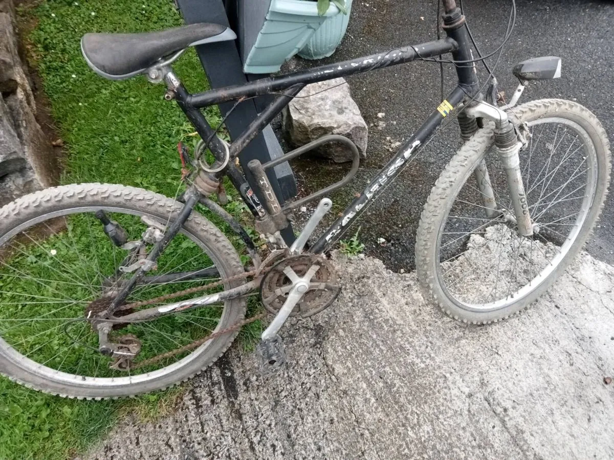 Three bicycles - Image 3