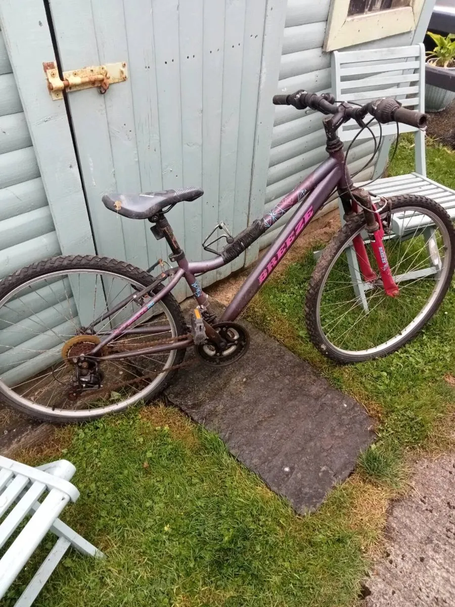Three bicycles - Image 1