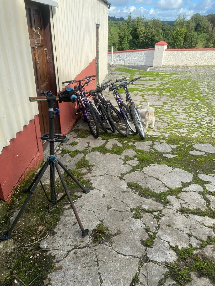 Bicycles - Image 2