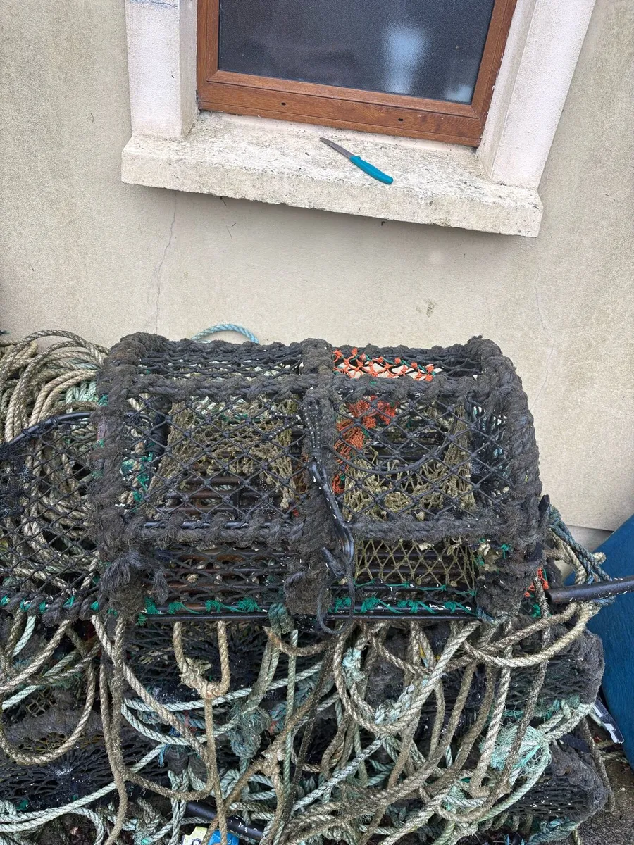Lobster pots - Image 4
