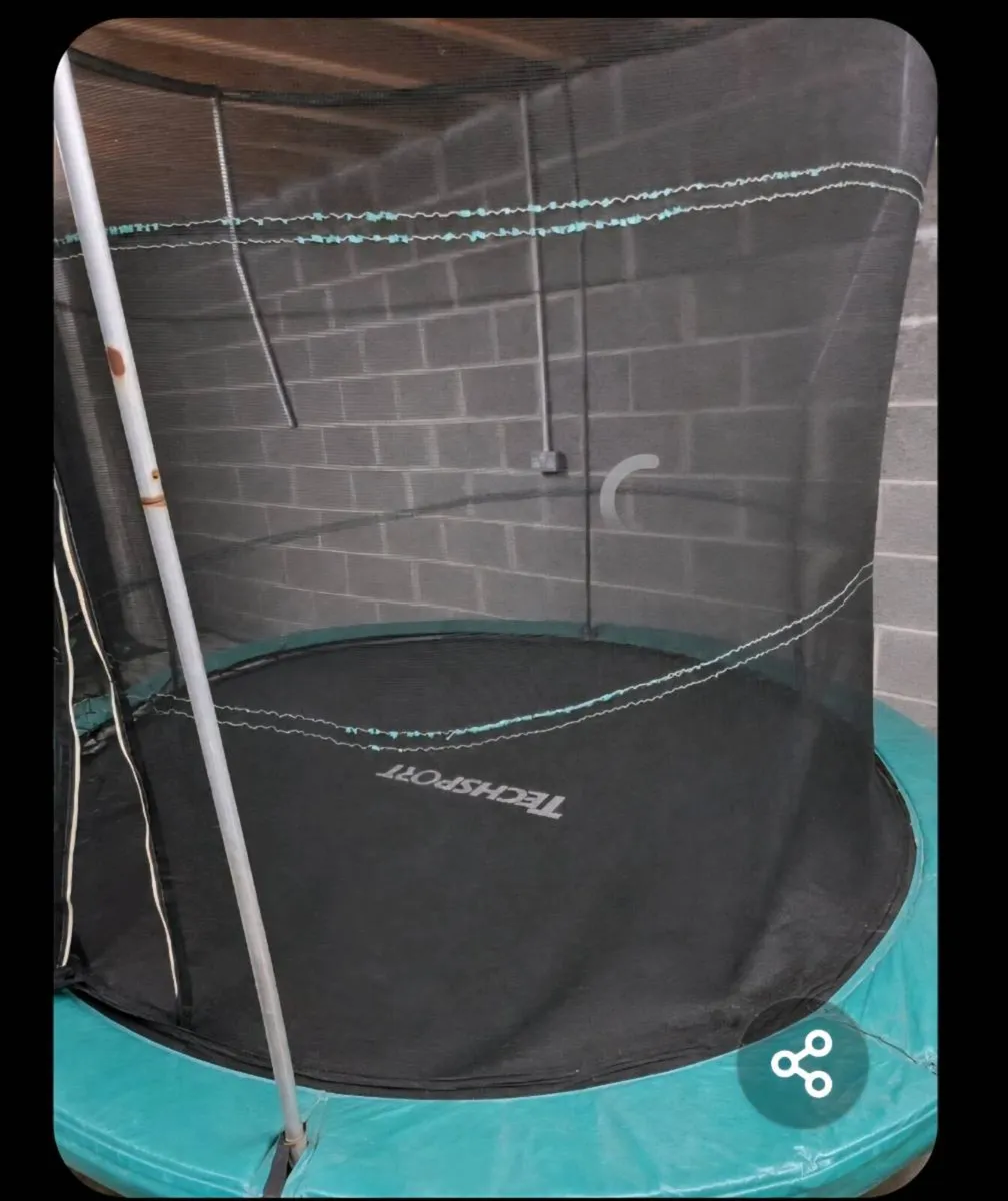 Trampoline - Image 3