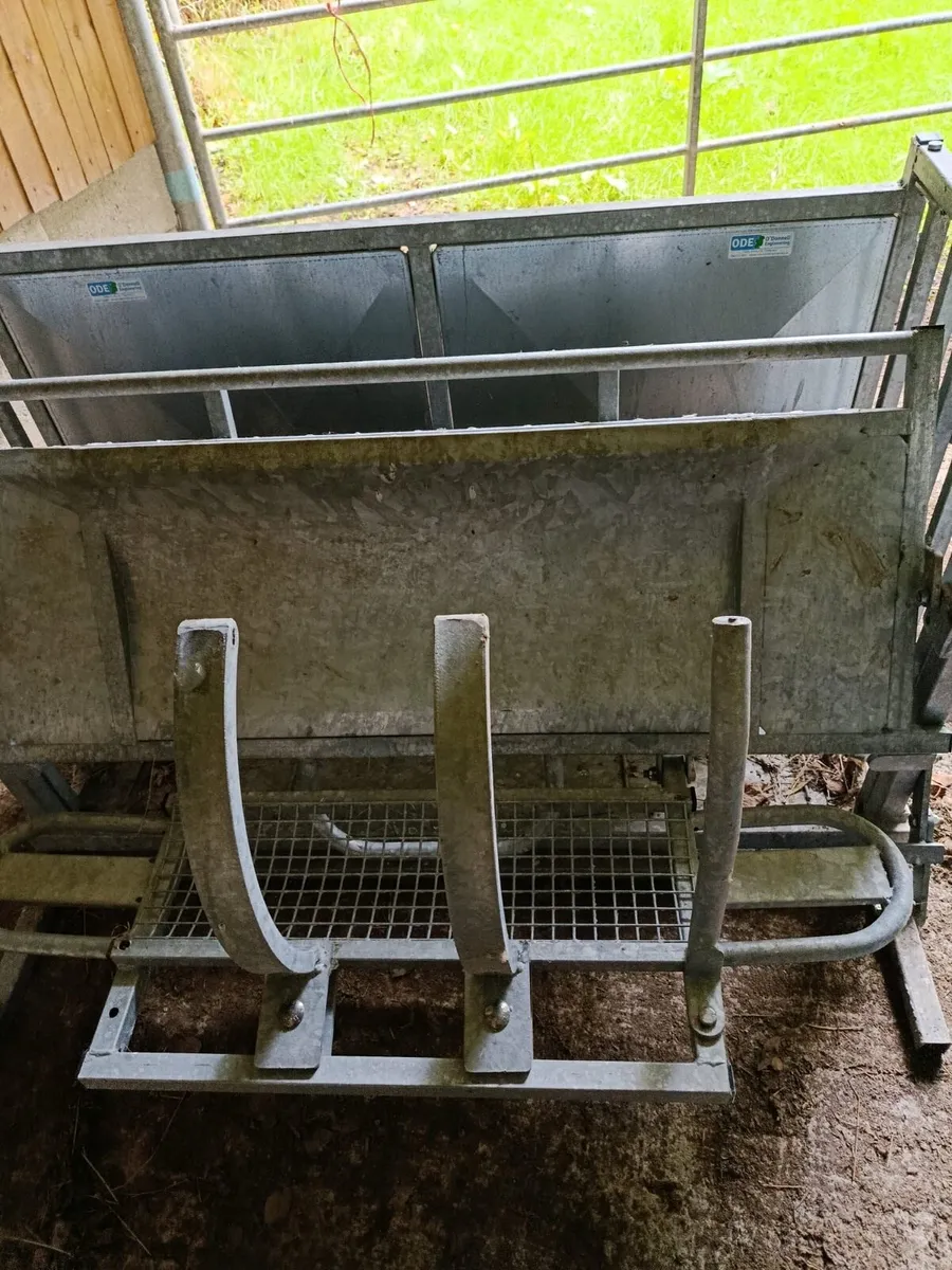 Sheep turn over/ rollover crate - Image 4
