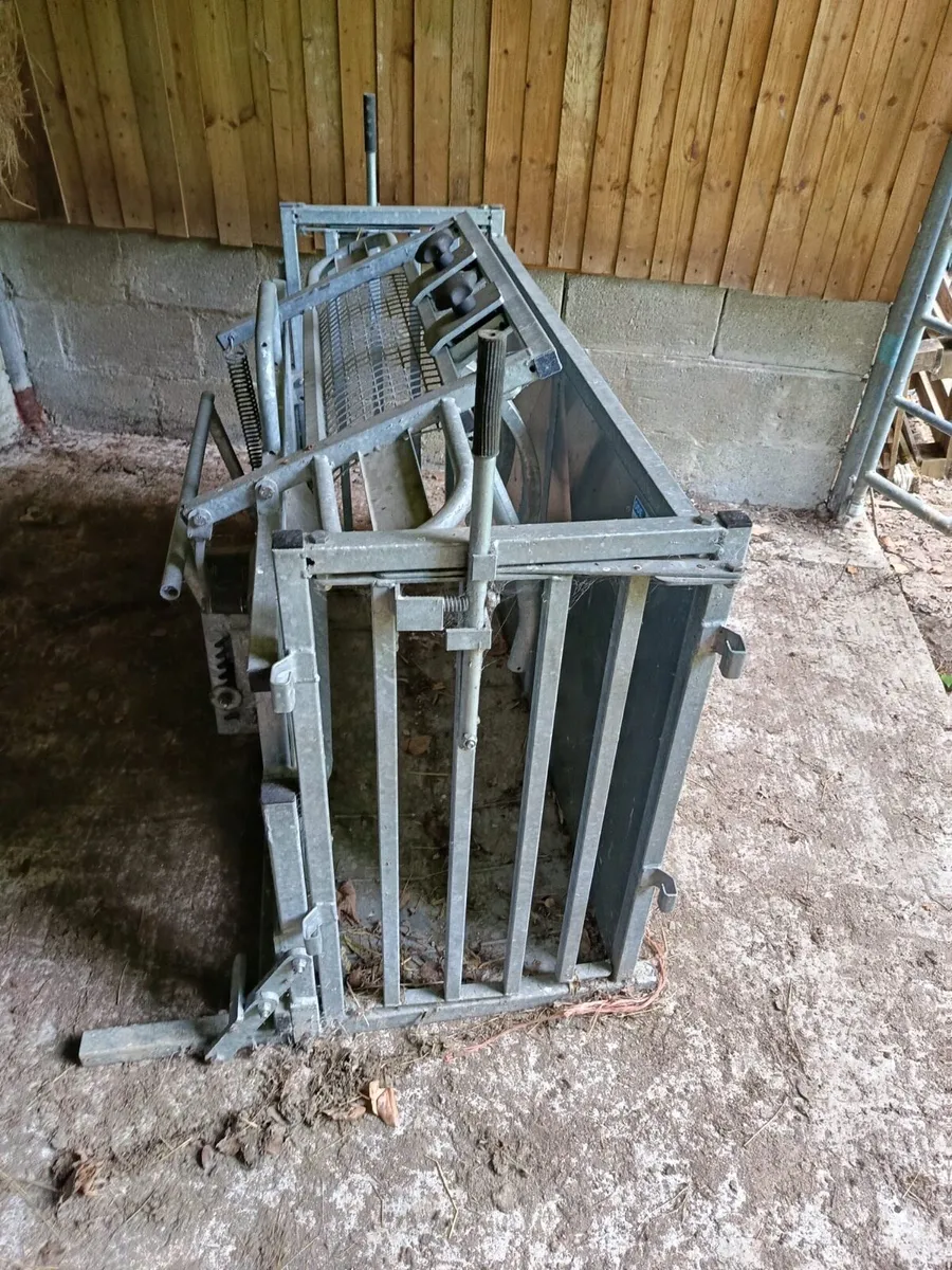 Sheep turn over/ rollover crate - Image 1