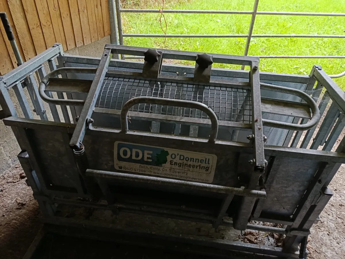 Sheep turn over/ rollover crate - Image 2
