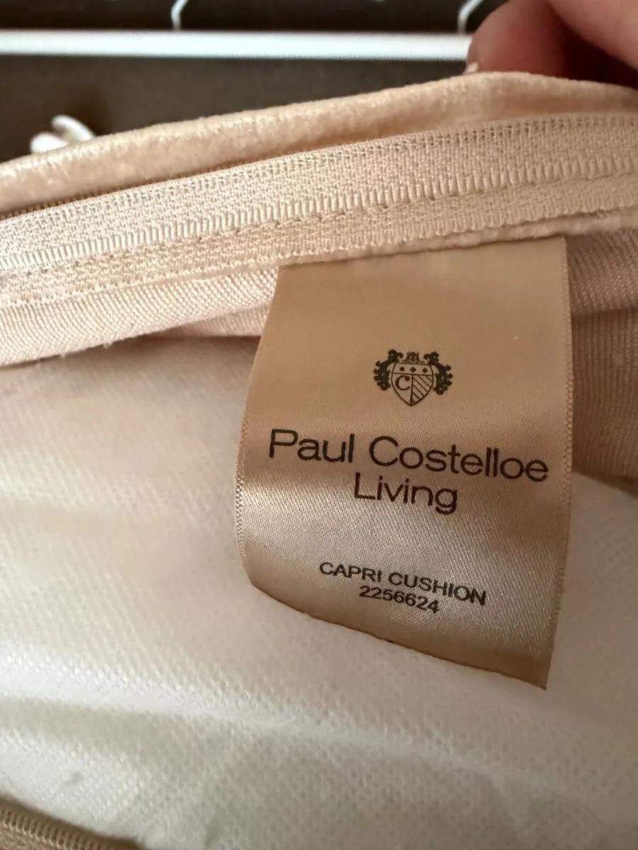 Paul Costelloe Cushions - Image 2