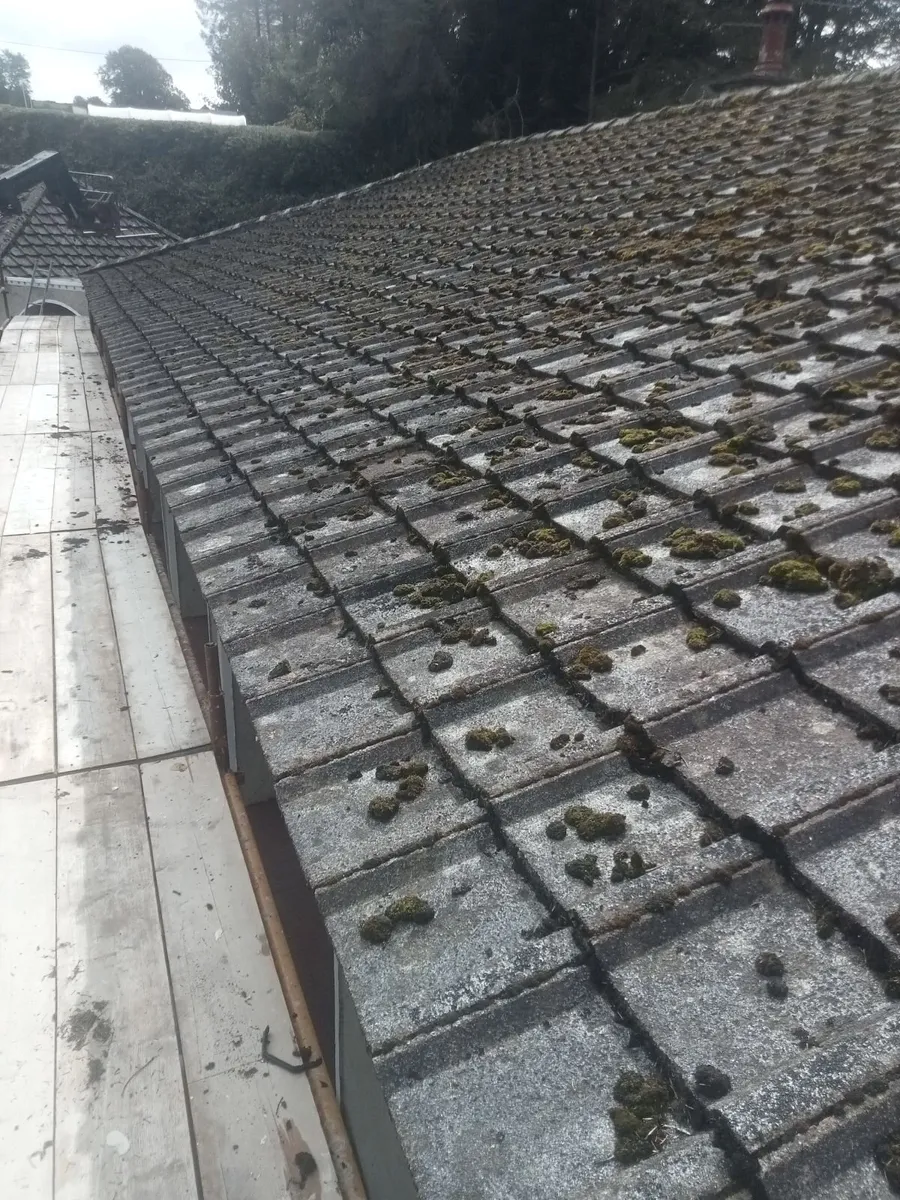 Concrete roof tiles - Image 1