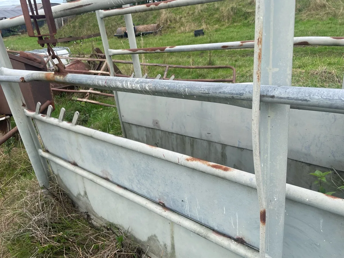Livestock weighing scales - Image 3