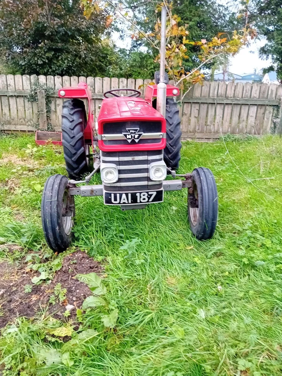 Massey Ferguson 135 - Image 1