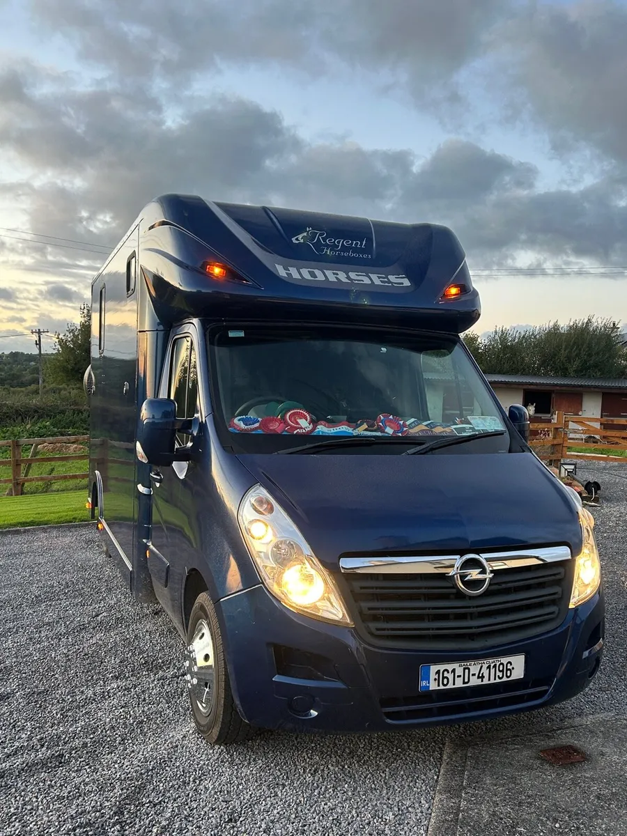 IMMACULATE HORSE VAN - Image 1