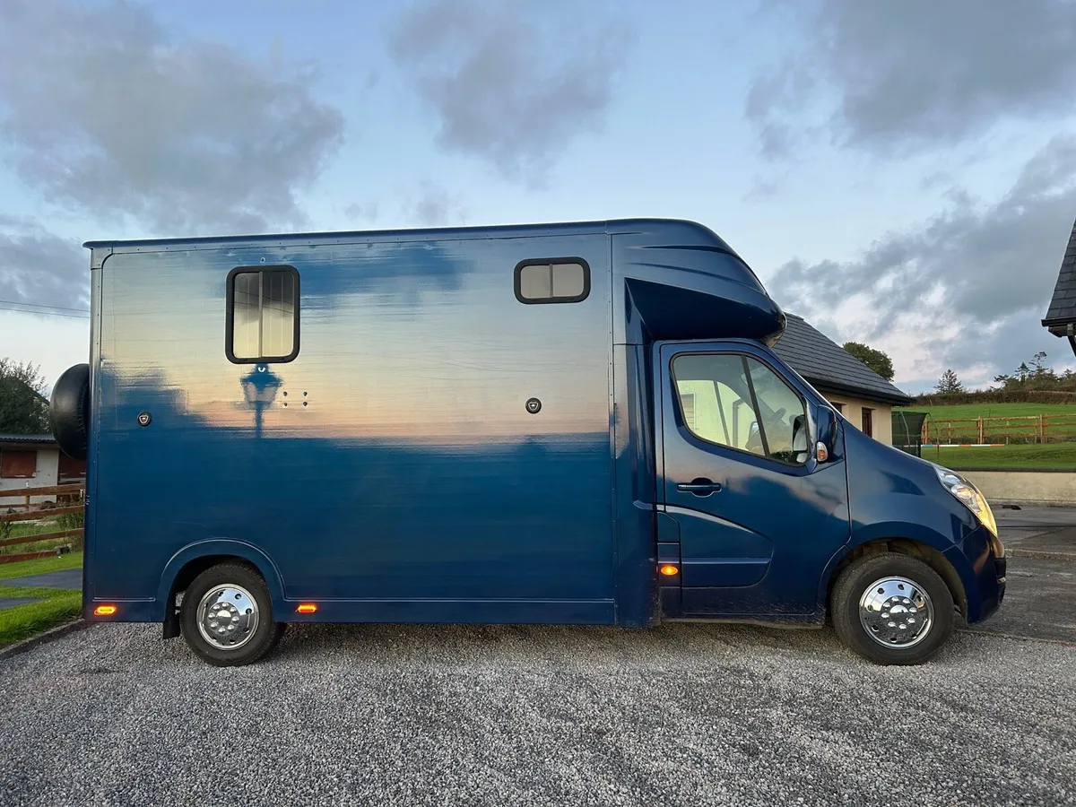 IMMACULATE HORSE VAN - Image 2