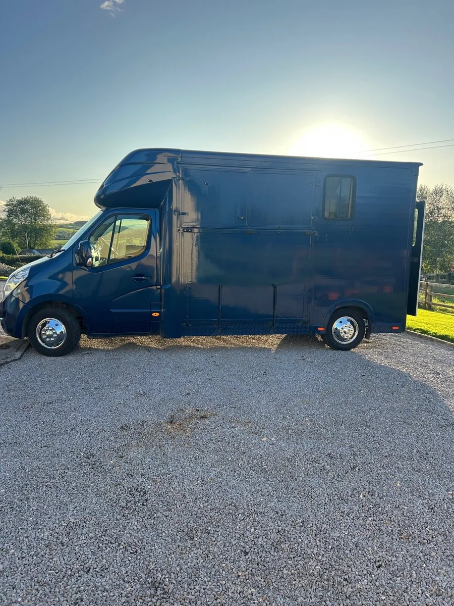 IMMACULATE HORSE VAN - Image 3