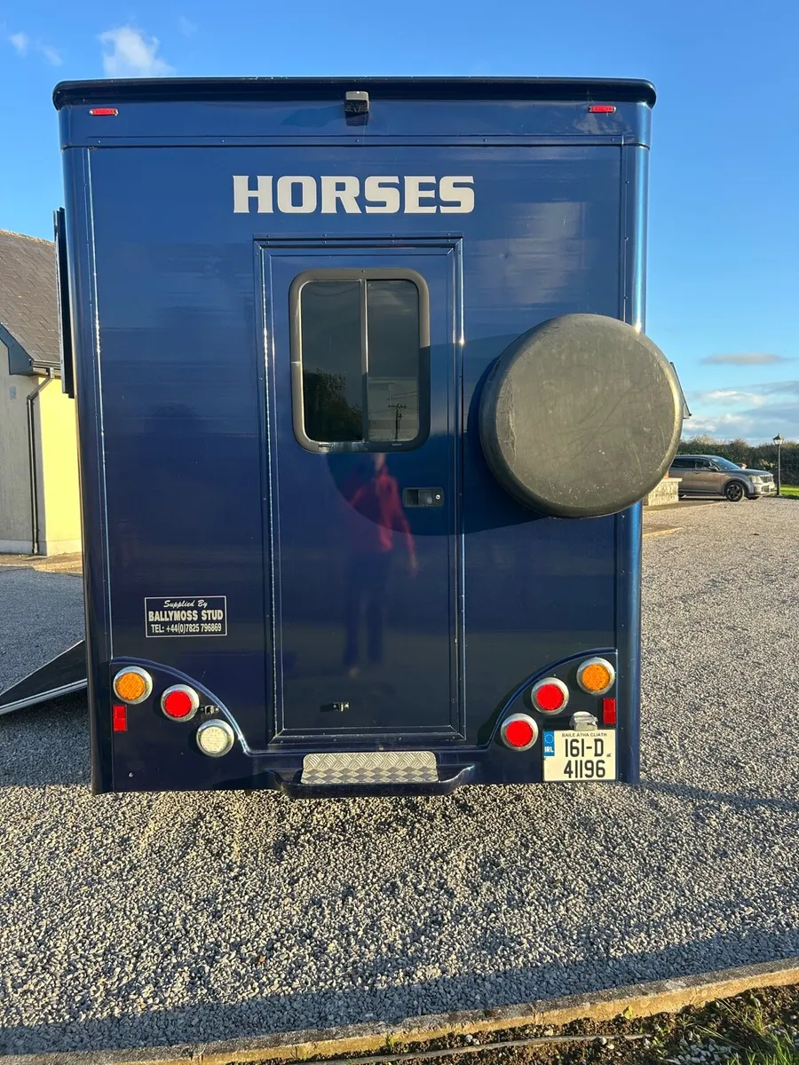 IMMACULATE HORSE VAN - Image 4