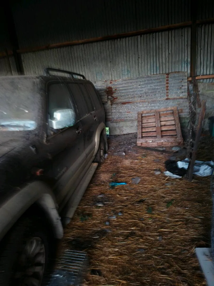 Jeep - Image 1