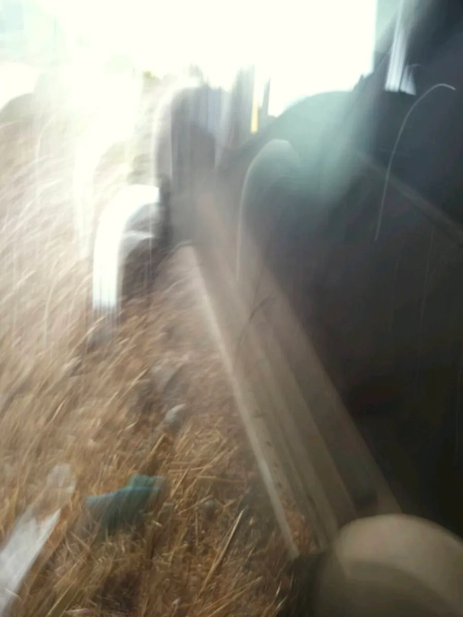 Jeep - Image 4