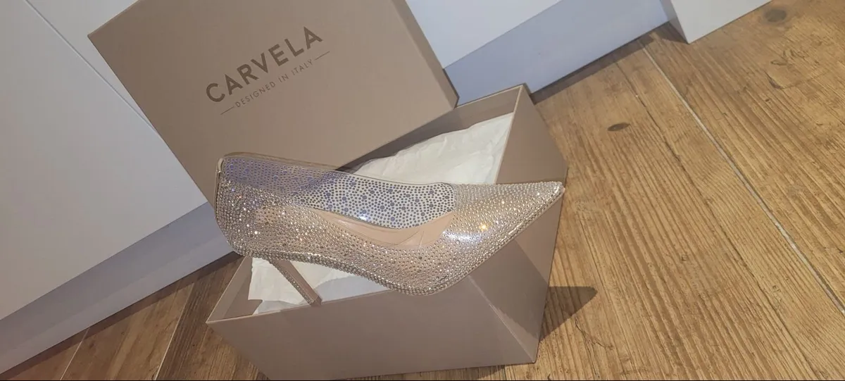 Cinderella Glass Slippers.
