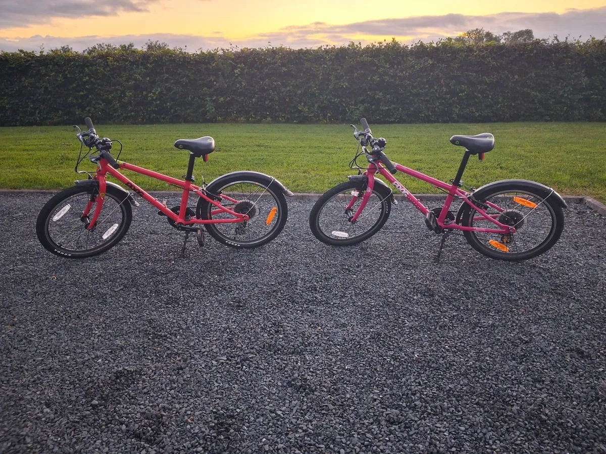 Frog Kids bike - Image 1