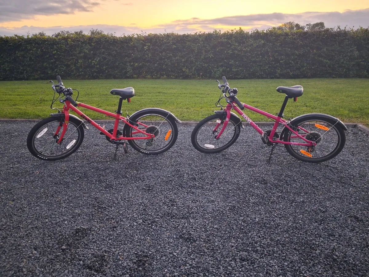 Frog Kids bike - Image 2