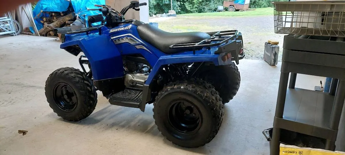 Quad Polaris Sawtooth 200cc. 2006 - Image 4