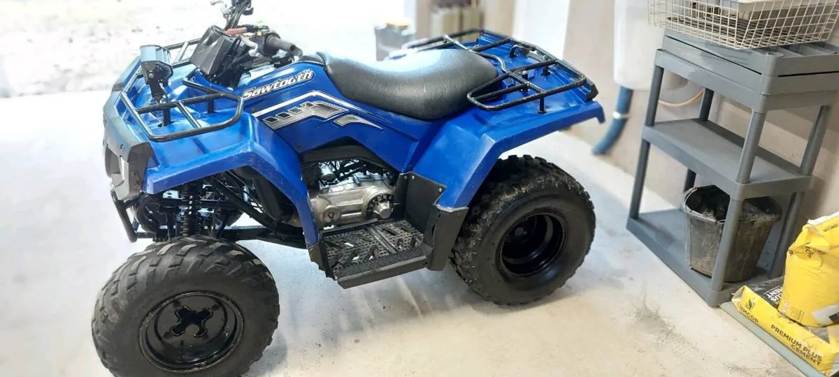 Quad Polaris Sawtooth 200cc. 2006 - Image 2