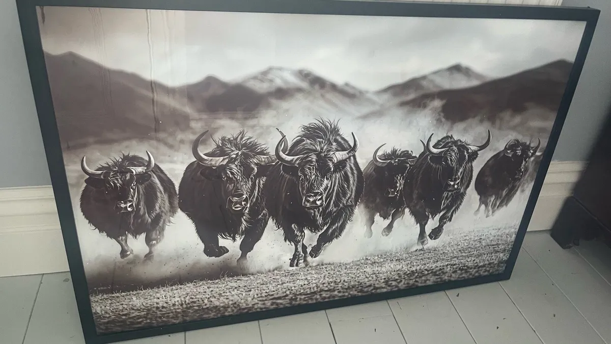Framed Picture buffalo - Image 2