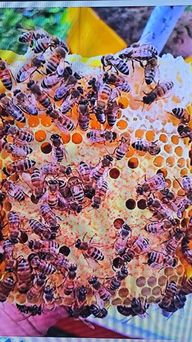 Queen  bee🐝 - Image 3