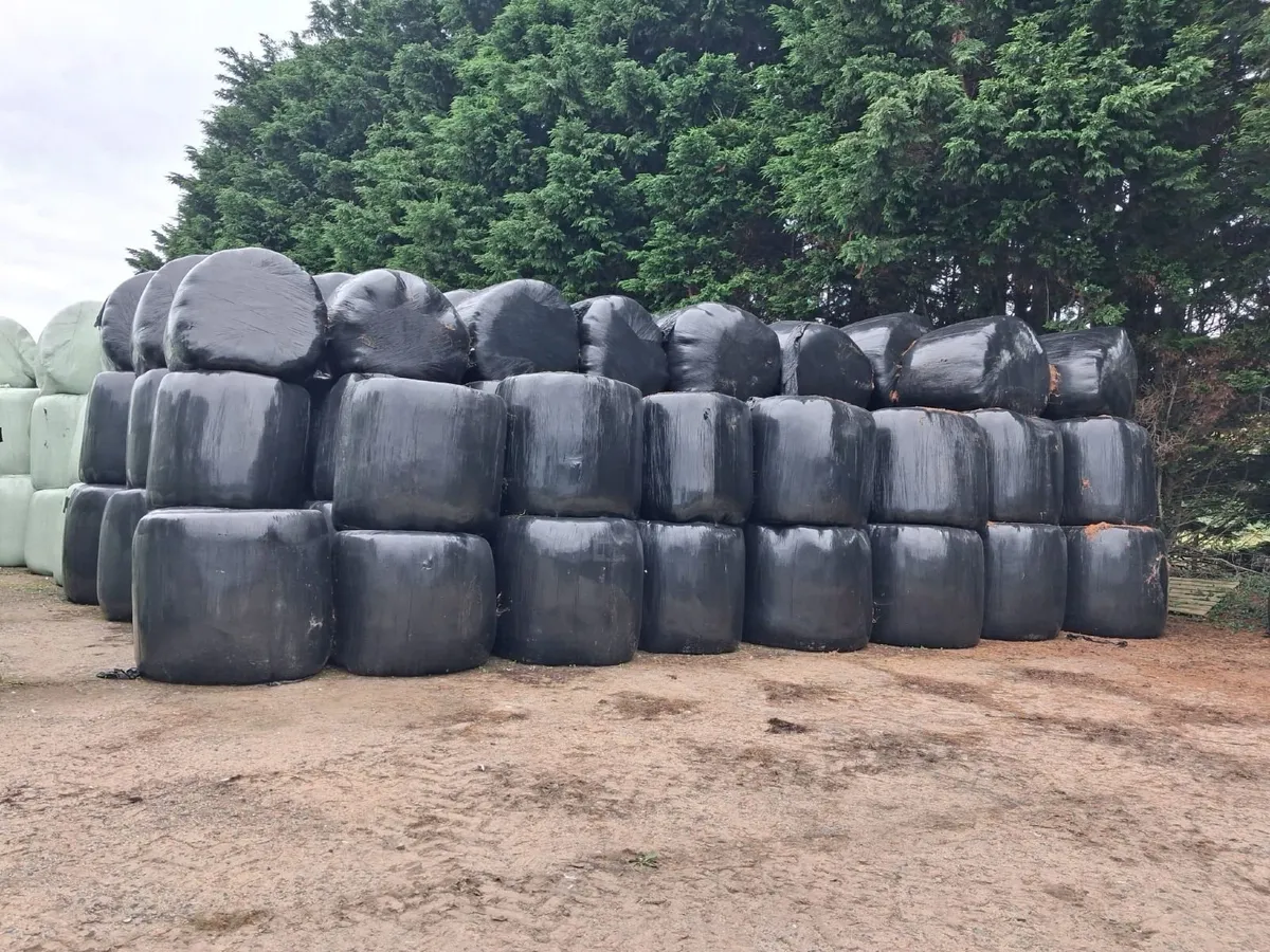 Silage