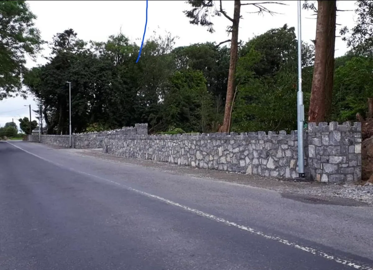Roscommon guillotined  limestone - Image 1