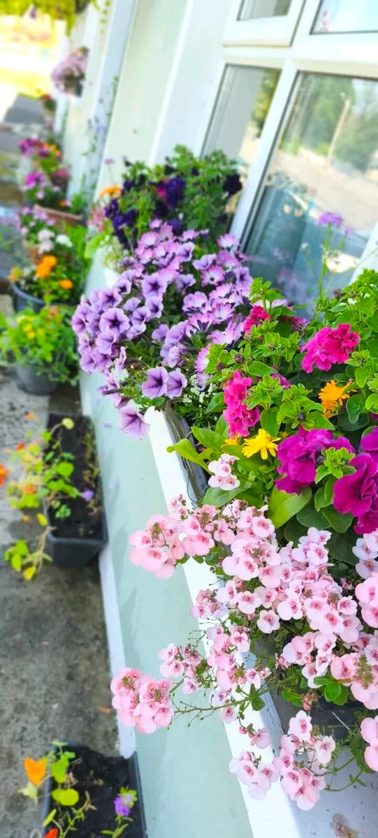 Gardening - Image 1