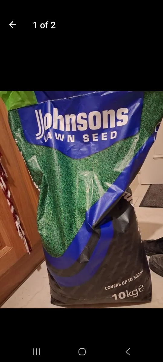 lawn seed