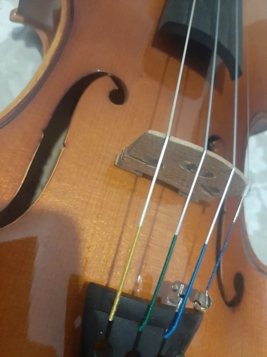 Violin Roderich Paesold 802 - Image 1