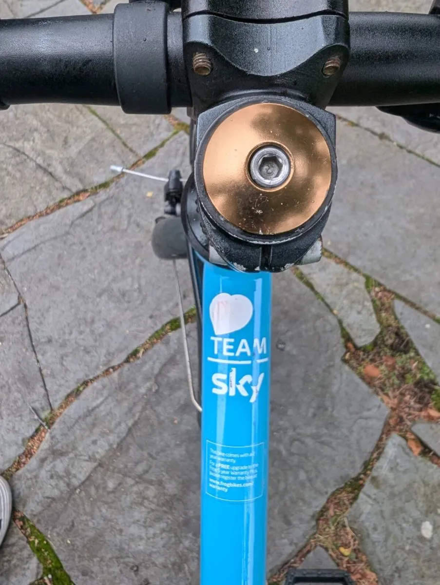 Child's bike - Frog 55 - Image 2