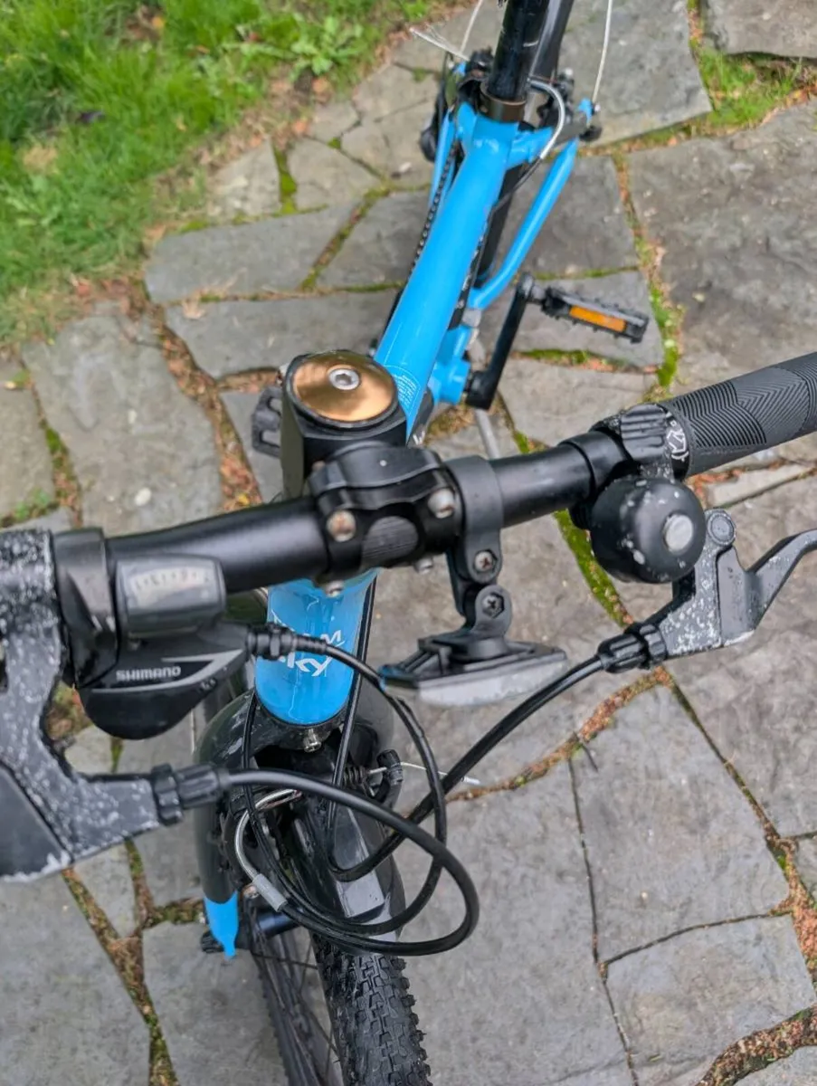 Child's bike - Frog 55 - Image 4