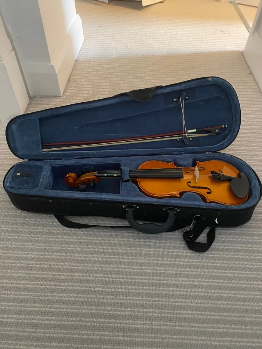 Violin